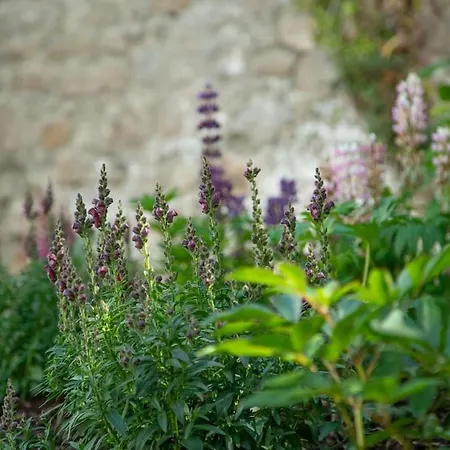 The Arch House * Enniskerry