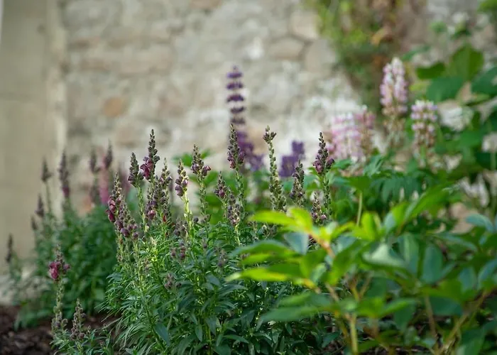 The Arch House * Enniskerry
